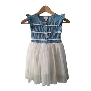 Calvin Klein Chambray Tulle Dress 6